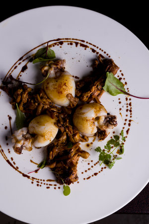 Fried octopus with egg on a white plate. Dark background.