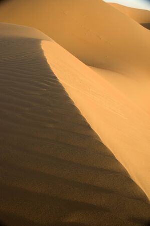 the big dune desert in the worldの写真素材