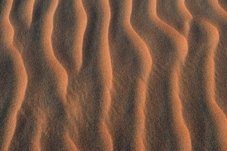 the big dune desert in the worldの写真素材