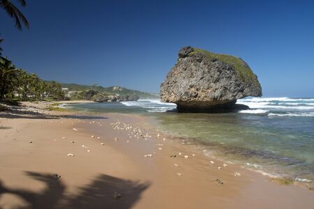 Beach of Barbados island, Caribbeanの写真素材