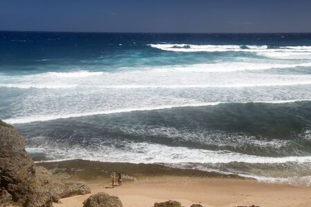 Coast of Barbados island, Caribbeanの写真素材