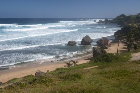 Beach of Barbados island, Caribbeanの写真素材