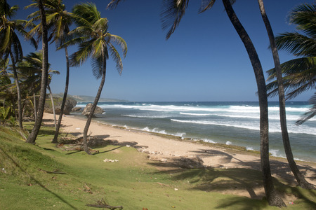Beach of Barbados island, Caribbeanの写真素材