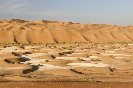 Abu Dhabi desertの写真素材