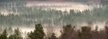 Norway has a total area of 385,252 square kilometres, has an extensive coastline, facing the North Atlantic Ocean and the Barents Sea.の写真素材