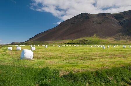 Reykjanes peninsula in summer, Icelandの写真素材