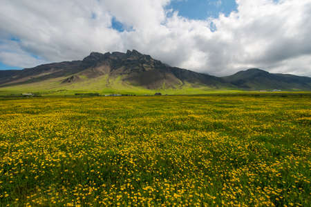 Reykjanes peninsula in summerの写真素材