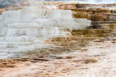 Mammoth hot spring, Yellowstone National Parkの写真素材