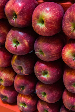 Red applesの写真素材