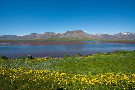 Iceland landscapeの写真素材
