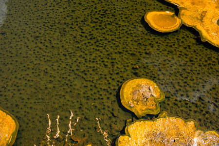 Natural hot spring, Yellowstone National Parkの写真素材