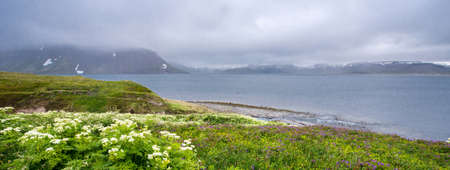 Honstrandir  Nature  Reserve, Icelandの写真素材