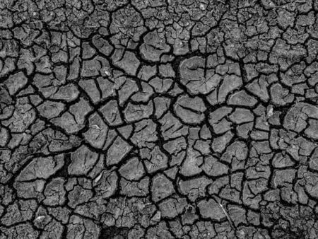 dry