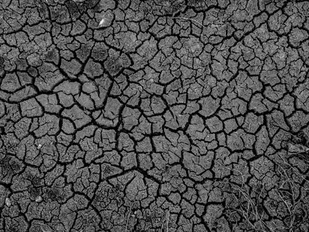 droughtの写真素材