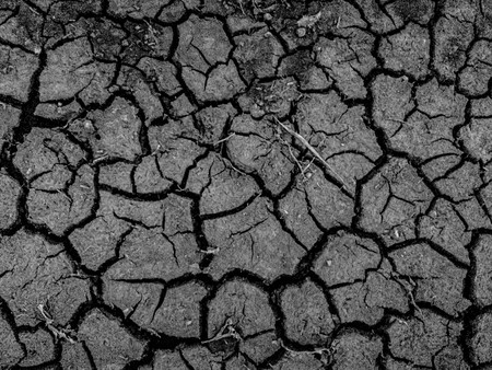 droughtの写真素材