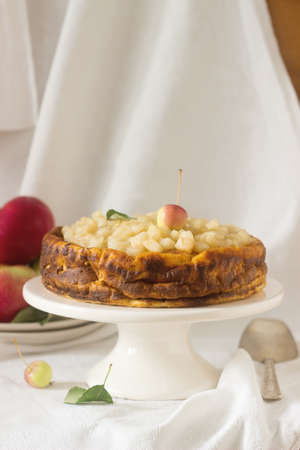 Delicate cheesecake with apple sauce, on a light backgroundの写真素材