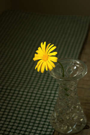 Calendula in a glass vase on a wooden table. Card.の写真素材