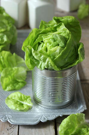 Fresh green lettuce salad. Selective focus, rustic style.の写真素材