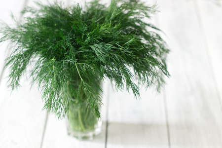 Fresh dill in a glass on a white wooden background. Rustic style, selective focus.の写真素材