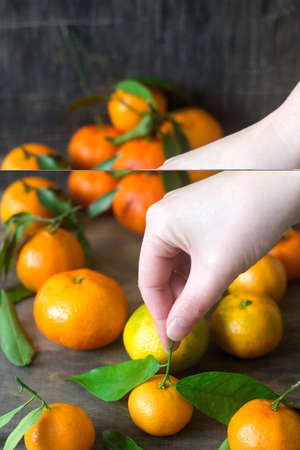 Mandarins and female hand on a wooden background. Rustic style, selective focus.の写真素材
