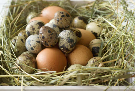 Chicken and quail eggs in a wooden box. Rustic style.