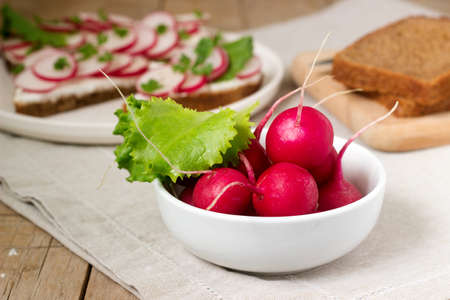 Radish and lettuce leaves on a background of sandwiches and slices of rye bread. Rustic style.の写真素材