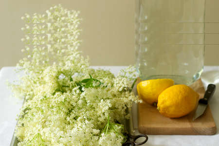 Elder flowers, water, lemon and sugar, ingredients for making elder syrup. Rustic style.の写真素材