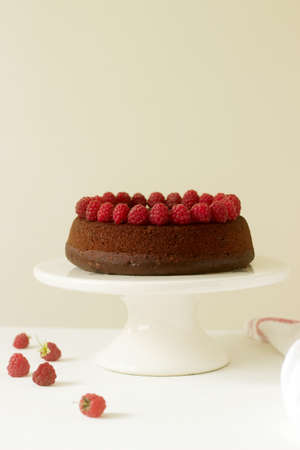 Chocolate brownie cake with raspberries and chocolate icing on a light background. Selective focus.の写真素材