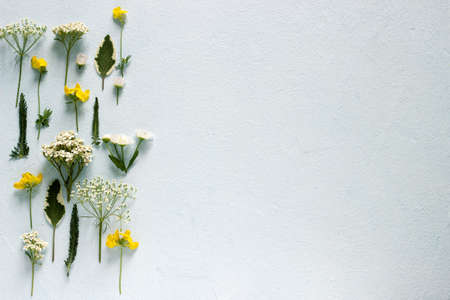 Composition from various wildflowers on a light blue background. Selective focus.の写真素材