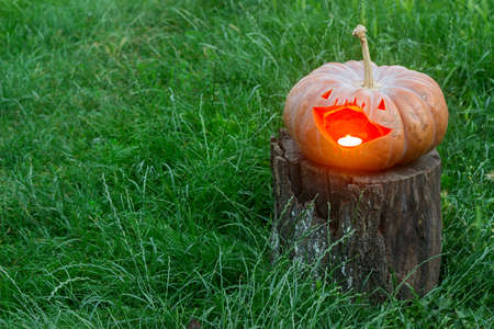Jack'o lantern on a wooden stump on a meadow with green grass, traditional decor for Halloween. Selective focus.の写真素材