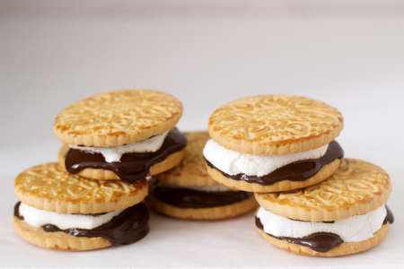 Homemade marshmallow s'mores with chocolate on crackers on a white background. Selective focus.