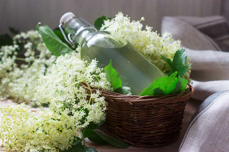 Homemade syrup of elderberry flowers in a glass jar and elder branches on a wooden table Rustic style, selective focus.の写真素材