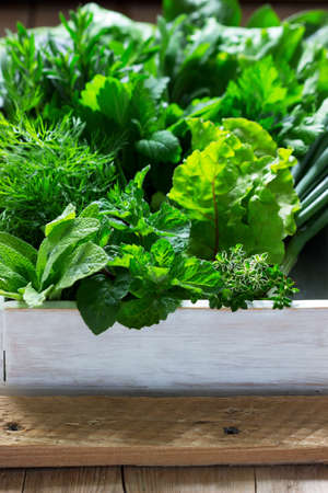 A variety of spicy herbs, salad and green onions on a wooden background. Rustic style, selective focus.の写真素材