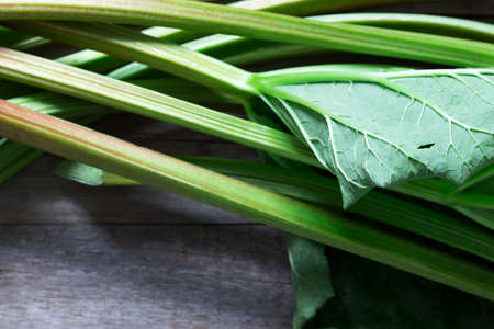 Stems and leaves of rhubarb on a wooden background. Selective focus.の写真素材