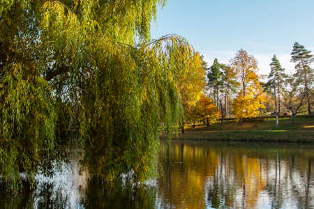 Autumn landscape in a city park, autumn in Moldova.の写真素材