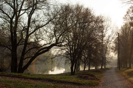 Autumn landscape in a city park, autumn in Moldova.