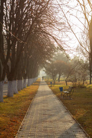 Autumn landscape in a city park, autumn in Moldova.の写真素材