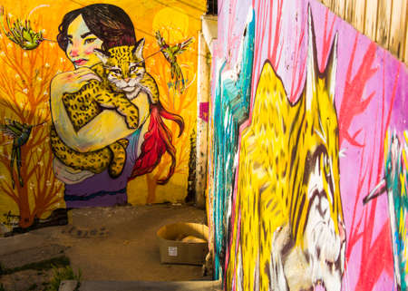 Street Arts - Graffiti in Valparaíso Chile