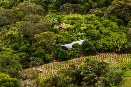 Community African Bolivian of Tocaの写真素材