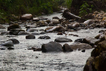 River in the Jungle in Rurrenabaque - Amazon Rainforest in Boliviaの写真素材