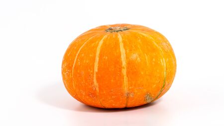 Pumpkin isolated on white background. Fresh vegetable in closeup view with copyspace for text.の写真素材