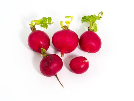 Fresh isolated radish on white background. Closeup view of organic vegetable with copyspace for text.の写真素材