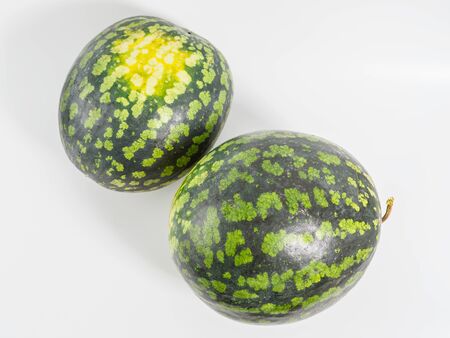 Two fresh watermelons on white background. Isolated whole watermelons with yellow spot on the side. Copyspace for text.の写真素材