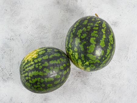 Two fresh watermelon on gray background. Isolated whole watermelons with yellow spot on the side. Copyspace for text.の写真素材
