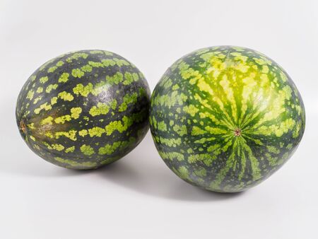 Fresh watermelon on white background. Isolated whole watermelon with yellow spot on the side. Copyspace for text.の写真素材