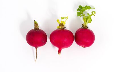 Fresh isolated radish on white background. Closeup view of organic vegetable with copyspace for text.の写真素材