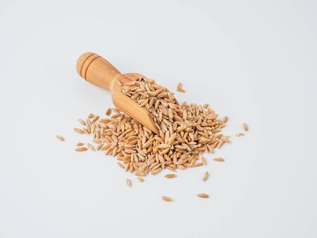 Spelt isolated on white background. Healthy diet organic food. Copyspace for text.の写真素材