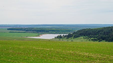 Countryside landscape with green fields and cloudy sky. Agricultural scene with fields and trees between it.の写真素材