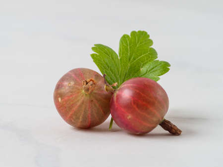 Fresh gooseberry on white wooden background.の写真素材