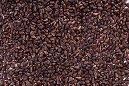 scattering of pine nuts, texture from pine nutsの写真素材